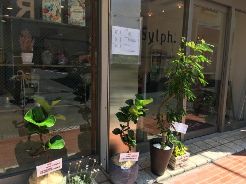 52466665-4B33-4C88-8E12-516D9E6C977B