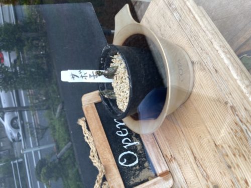 D3CD0BCD-6745-49EB-BE60-99A4E31802D4