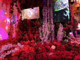 0E486979-242F-4788-93A2-FA5CC52B19C0