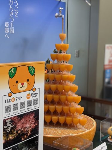 PXL_20211116_030057207.PORTR