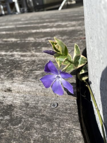 E663E888-4EC5-4EC6-8080-FE729B6D51A1