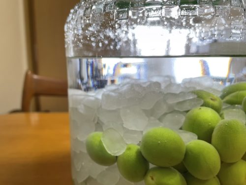 646A765A-7063-4B0E-8246-AA28DD85FC10