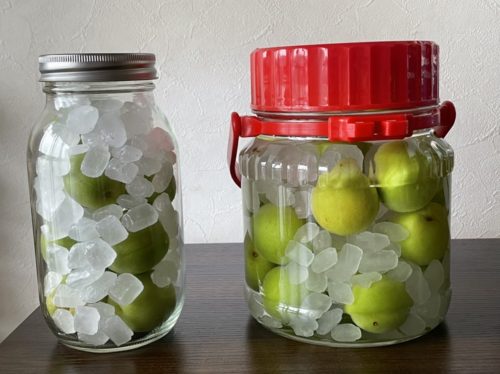 2A55769B-B28B-414E-9552-796F1F0DE9D3