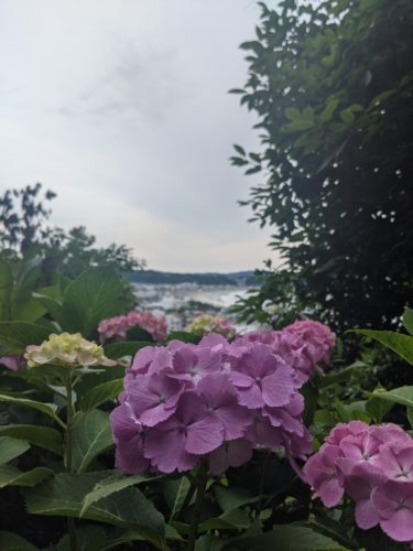 PXL_20220612_231136451