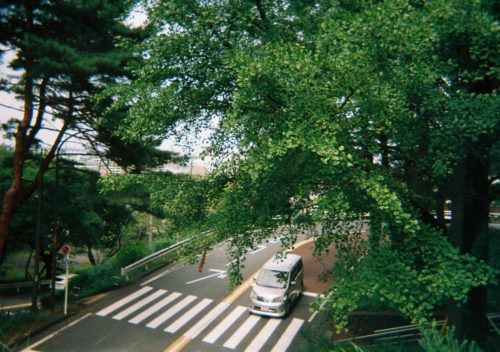 21D758B6-188B-4C8B-BFE9-CC6A4350A9CD