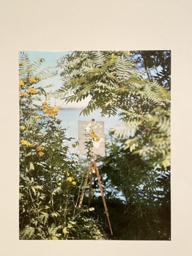 4D1BE015-9746-4A90-B210-5C2A9401F697