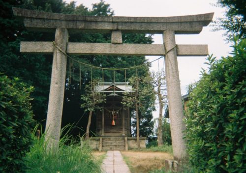 5E274B7B-A409-442E-8E8C-6463C6250594