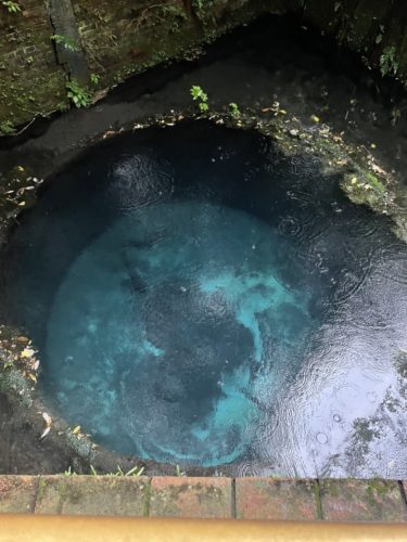 E6EE0952-A115-43D8-AF4E-3741790BF3C9