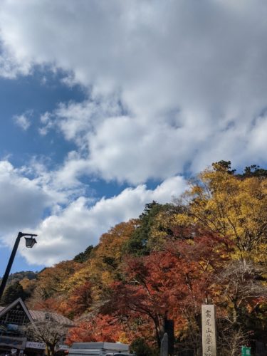 PXL_20221118_032313205