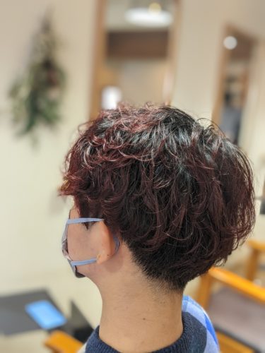 PXL_20221125_034206642.PORTR