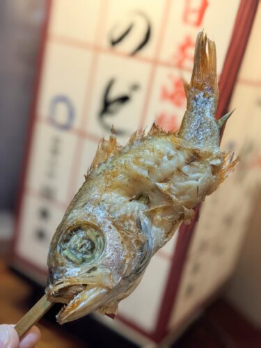 PXL_20230822_045344481.PORTR