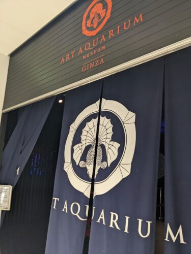 PXL_20240514_063208569